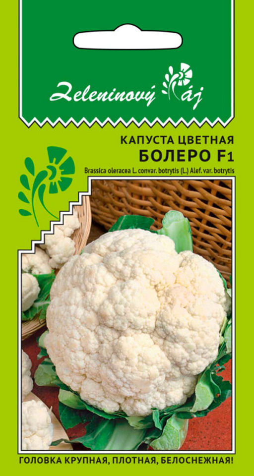 Капуста цветная БОЛЕРО F1  Высокоурожайный гибрид! Самая ранняя и холодостойкая! Головка крупная, плотная, с очень нежной текстурой! - Уральский дачник фото 3