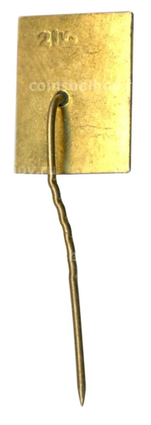 Значок Тракай