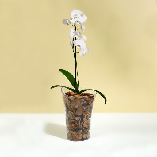 Горшок для орхидей, 1,3 л, 13,6 × 14,1 × 20 см, пластик, прозрачный