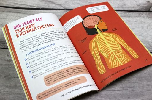 Книга о теле человека с полезными заданиями и упражнениями - Эксмо фото 7