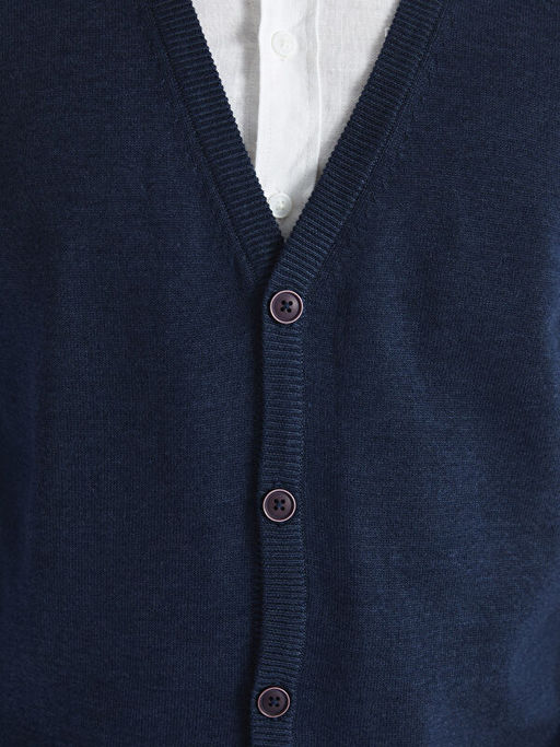 Standart Kal?p V Yaka Erkek Triko H?rka