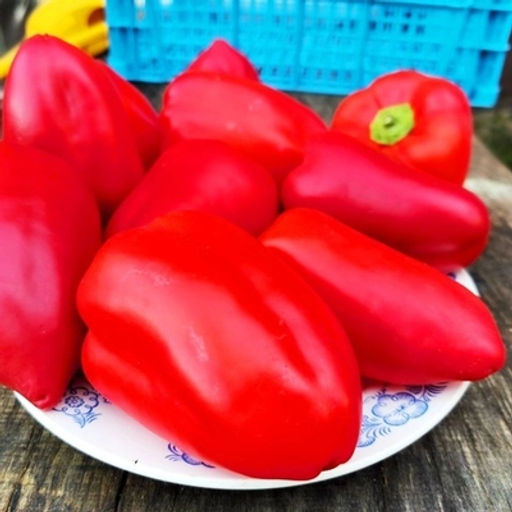 Перец Сладкий Советский