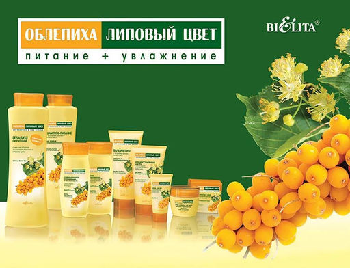 Облепиха Шампунь-питание для сухих и повреждённых волос, 500 мл