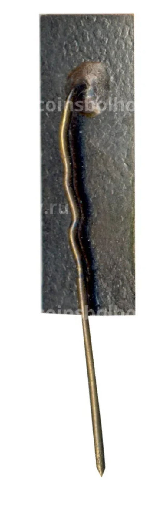 Значок Рига