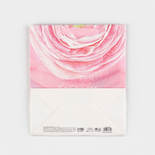 Цена за 2 шт. Пакет подарочный ламинированный, упаковка, «Хорошего настроения», ML 23×27×11.5 см