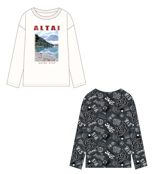 2лонгслива 2ПДЛД5865001н