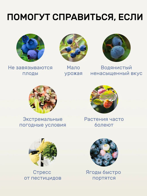 Удобряй! Биомолекулы для ягод, 400 мл - Люби, Выращивай! фото 14