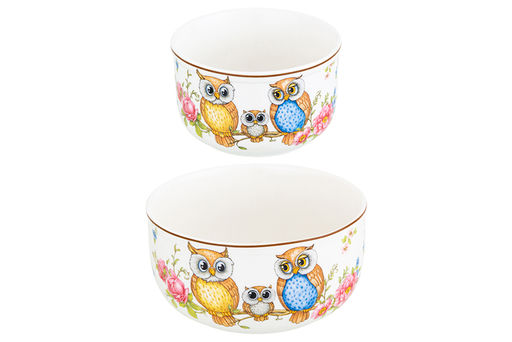 Набор 2 салатников - 13*13*6,5 см 560 мл+10,5*10,5*6 см 260 мл Совушки с плас.крыш. NEW BONE CHINA - Elan gallery фото 9