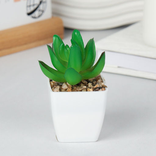 Цветочная композиция Кактус / WER-19 /уп 12/192/ микс - Галеонтрейд фото 14