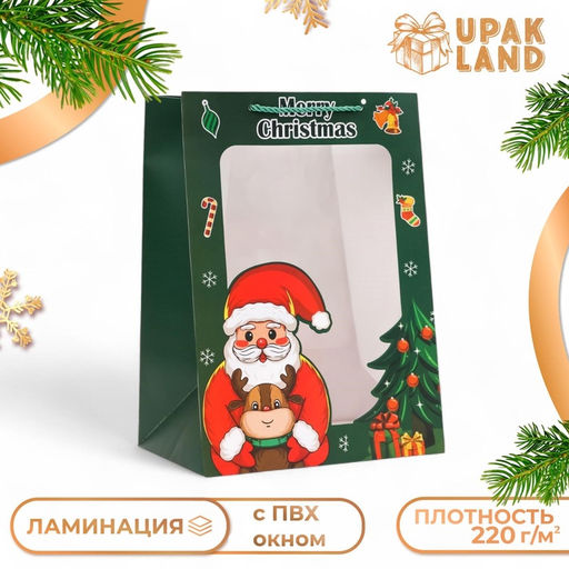 Пакет подарочный новогодний ламинированный, с окномДед мороз, 25?35?18 см