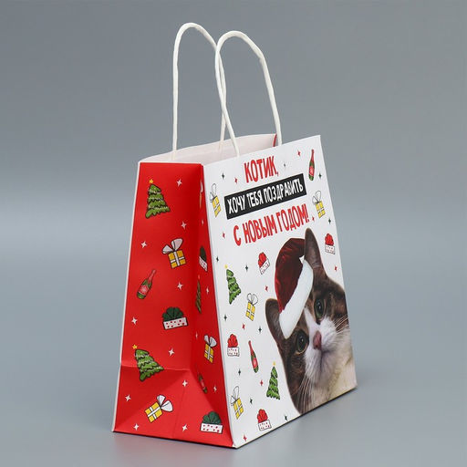 Пакет подарочный крафтовый Котик, 22 22 11 см - Дарите счастье фото 2