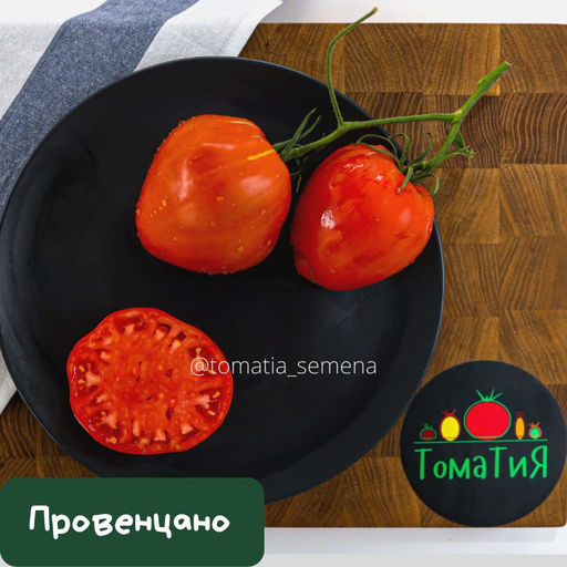 Провенцано - Tomatia фото 2