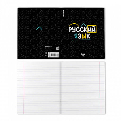 Цена за 5 шт. Тетрадь общая ученическая ErichKrause Inscription, Русский язык, 48 листов, линейка, твин-лак  фото 2