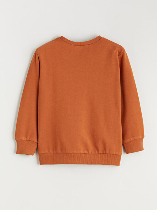 Dinozor Bask?l? Erkek ?ocuk Sweatshirt