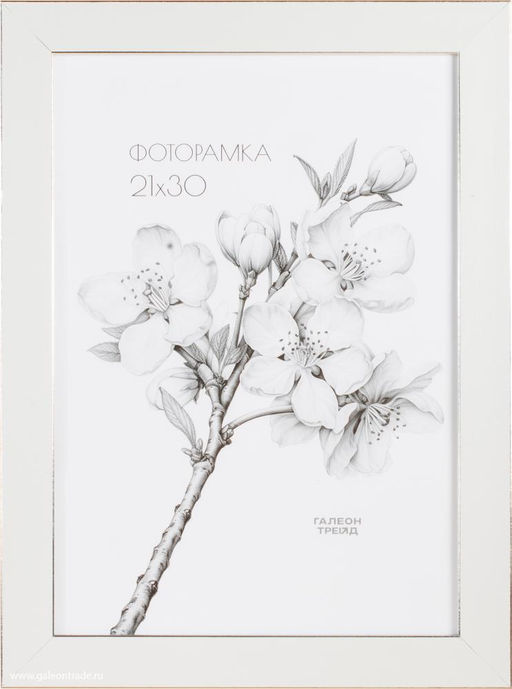 Фоторамка 21x30 / B2703C1-012A2 - Галеонтрейд фото 2