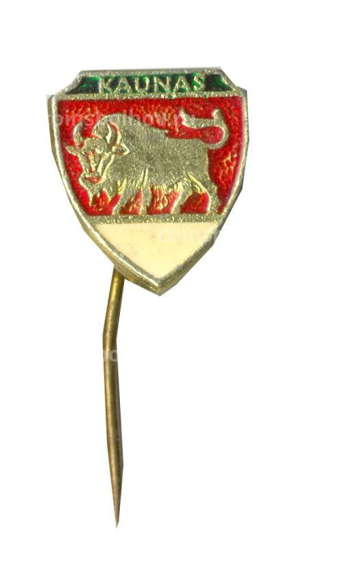 Значок Каунас