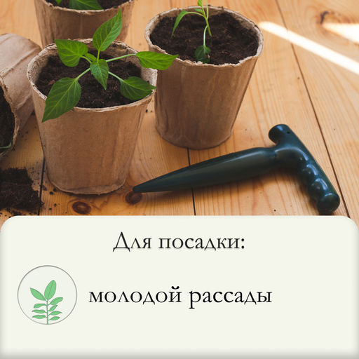 Цена за 4 шт. Конус посадочный, длина 25 см, деревянная ручка