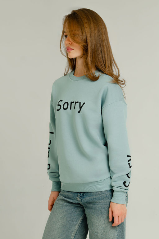 Арт. 15104 Свитшот женский 44-52 (5 шт) Цвет:мята