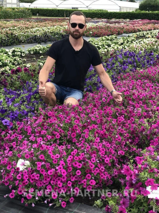 Петуния Вивальди Вуаль ампелельная фиолетовая - Партнер фото 8