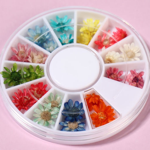 Сухоцветы для декора Ромашки, объёмные, 12 видов, в футляре, разноцветные - Qf фото 3