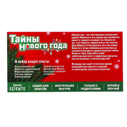 Набор для опытов Тайны Нового года, зайчик