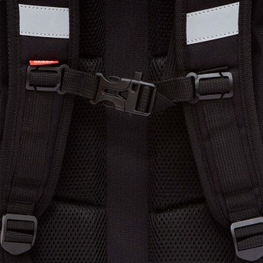 RAw-595-9 Рюкзак школьный - Grizzly фото 11