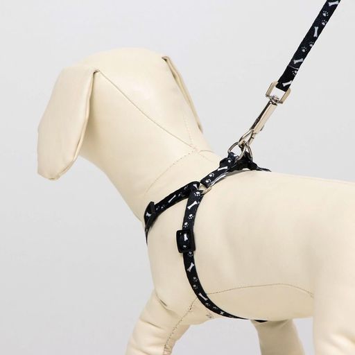 Комплект Классика, поводок 120 х 1 см, ОГ 28-47 см, чёрный - Пижон фото 7