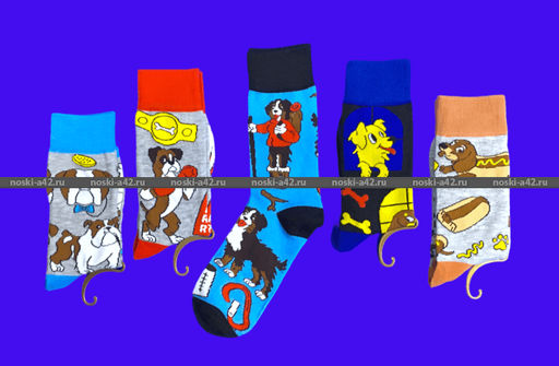 Цена за 10 пар. Nice Socks (AMIGOBS) ЦВЕТНЫЕ ВЫСОКИЕ НОСКИ на вешалке арт. 2209 фактически 37-43  фото 5