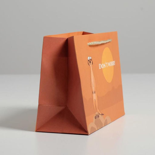 Цена за 2 шт. Пакет подарочный, упаковка, Don not worry, 14.5×19.5×8.5 см