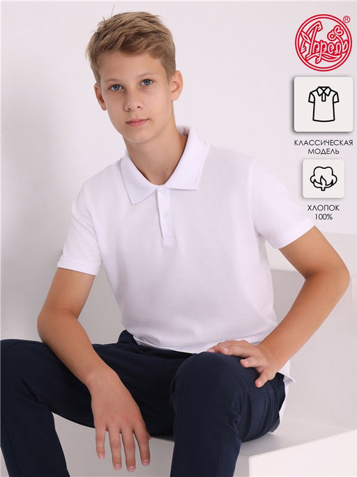Футболка-поло 1ПДПК4486090
