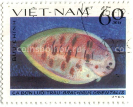Марка Брахирус восточный 1982 год Вьетнам
