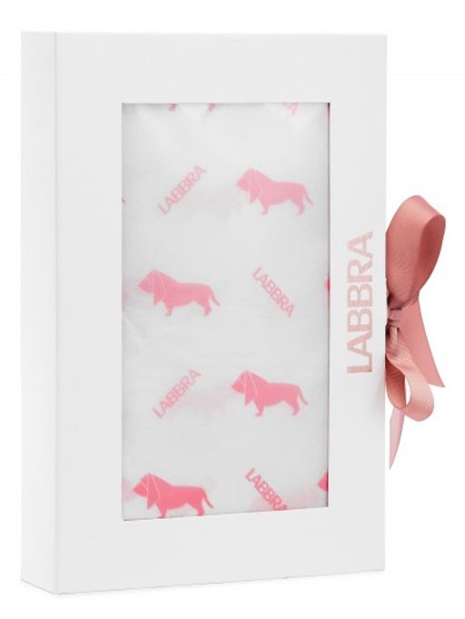 Подарочная коробка LABBRA NEW, с прозрачной крышкой 33х22х6