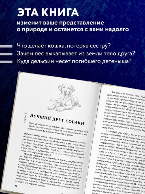 Как животные скорбят. Что чувствуют кошки, слоны, дельфины и другие, теряя близких