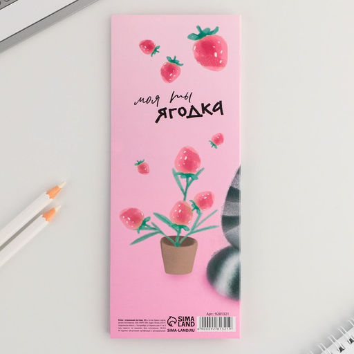 Цена за 3 шт. Блоки бумаги с отрывными листами, 30 л в открытке 8 марта: Енот