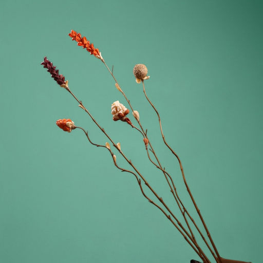 Сухоцвет,150 см, натуральный - Simaland фото 6