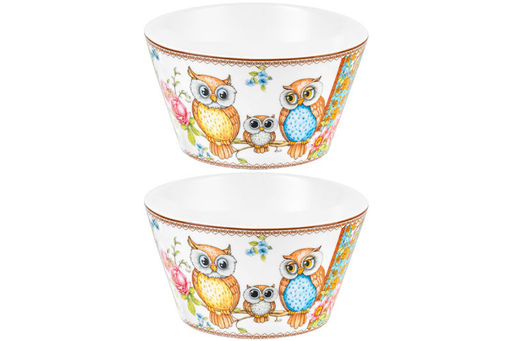 Набор 2 салатников 600 мл 13*13*7,5 см Совушки NEW BONE CHINA - Elan gallery фото 4