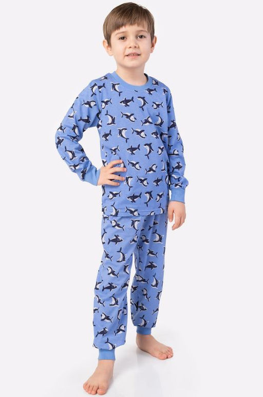 BK1672PJ.С2 Пижама для мальчика