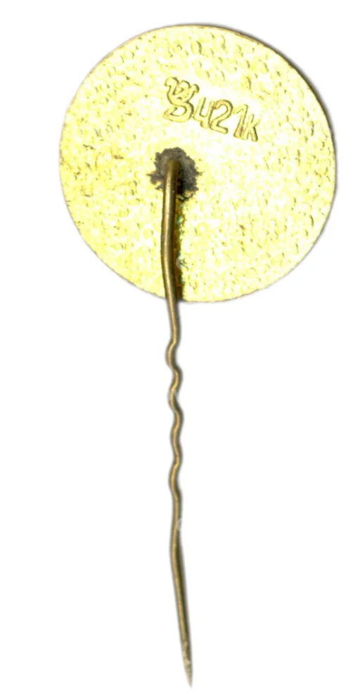 Значок Друскининкай