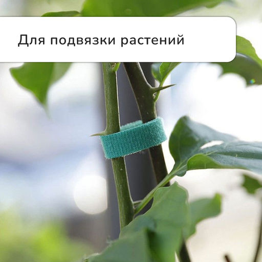 Цена за 2 шт. Лента Липучка для подвязки растений, 5 м, зелёная, Greengo фото 5