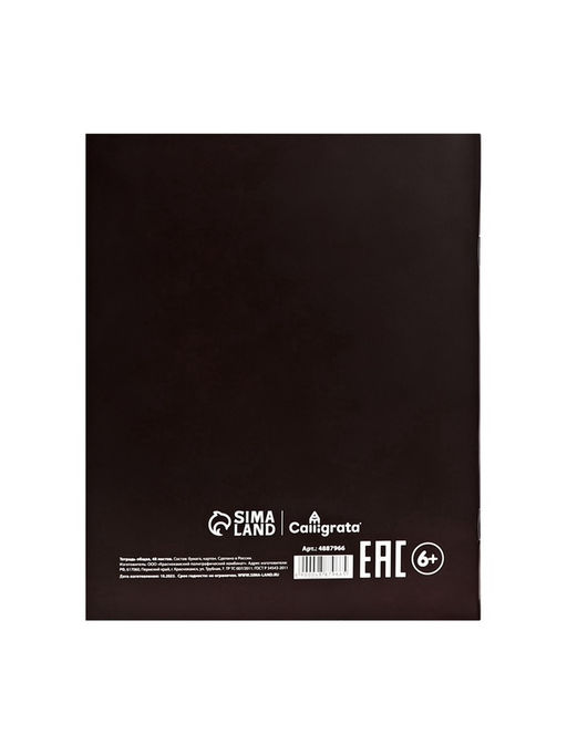 Тетрадь предметная Супернеон, 48 листов в клетку Английский язык, со справочным материалом, обложка мелованный картон, блок офсет - Calligrata фото 11