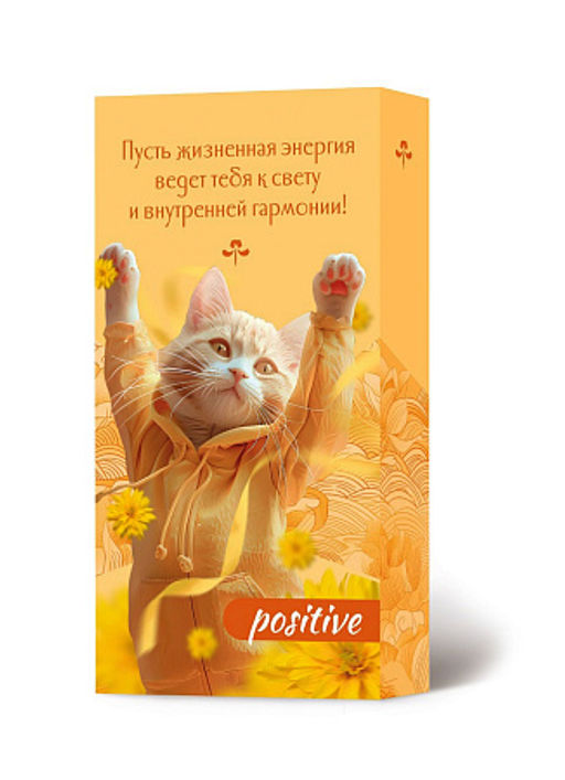 Набор POSITIVE благовония HEM с подставкой - Сандаловый дом фото 2