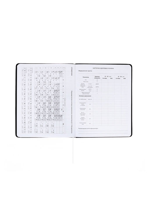 Дневник школьный 1-11 класс, deVENTE. Realistic, искусственная кожа, шелкография