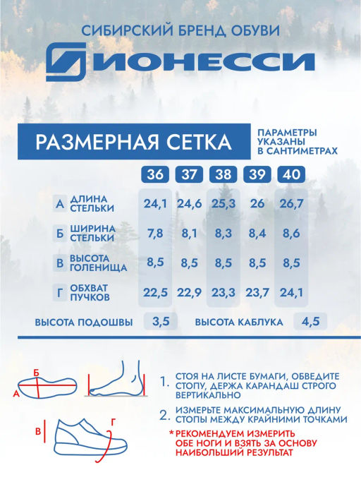 Ботинки Ионесси