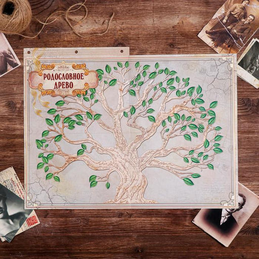 Родословная книга «Перо», 66 листов, 20 х 25 см.