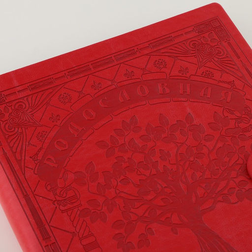 Родословная книга "Книга нашей семьи", красн., 31 х 22 см