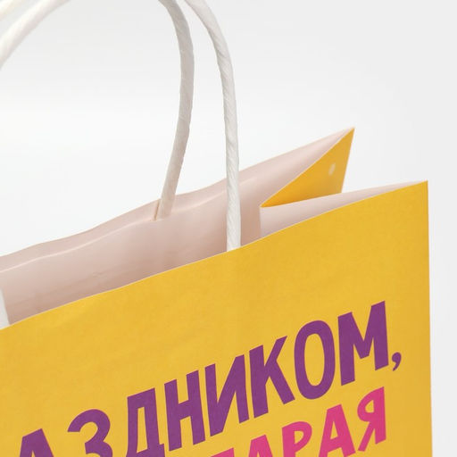 Пакет подарочный Клюшка, 22 х 22 х 11 см - Дарите счастье фото 5