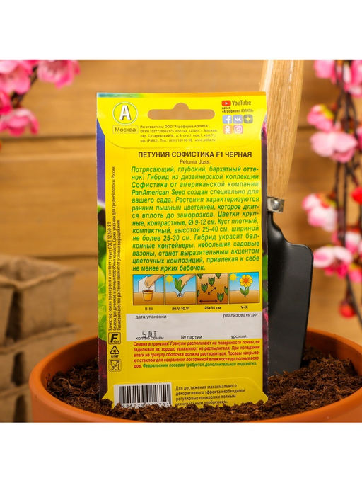 Набор семян Петуния «Софистика», черная, F1, крупноцветковая, 4 шт., 2 шт., «Мой выбор»
