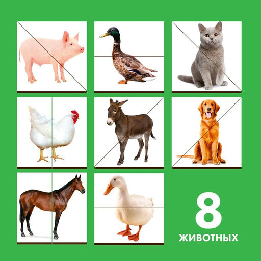 Картинки - половинки «Домашние животные», 16 деталей