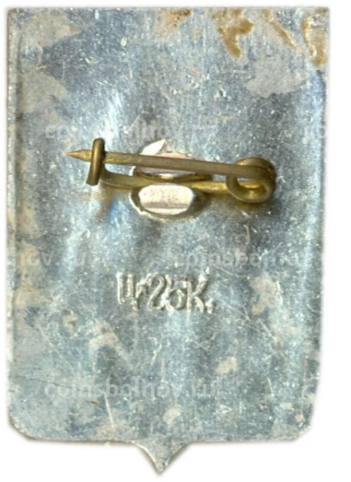 Значок Боровичи