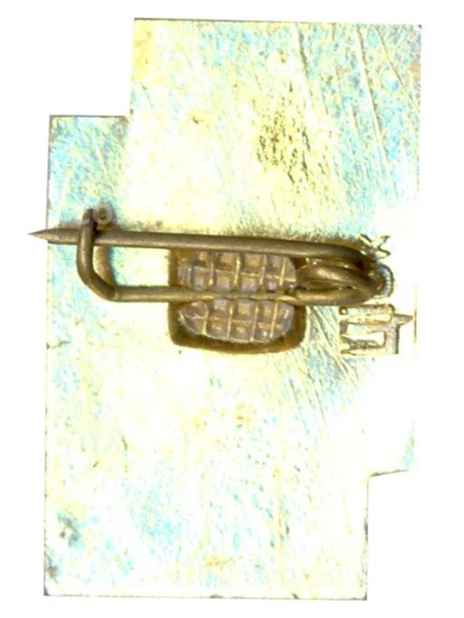 Значок В. Стефаник 100 лет со дня рождения